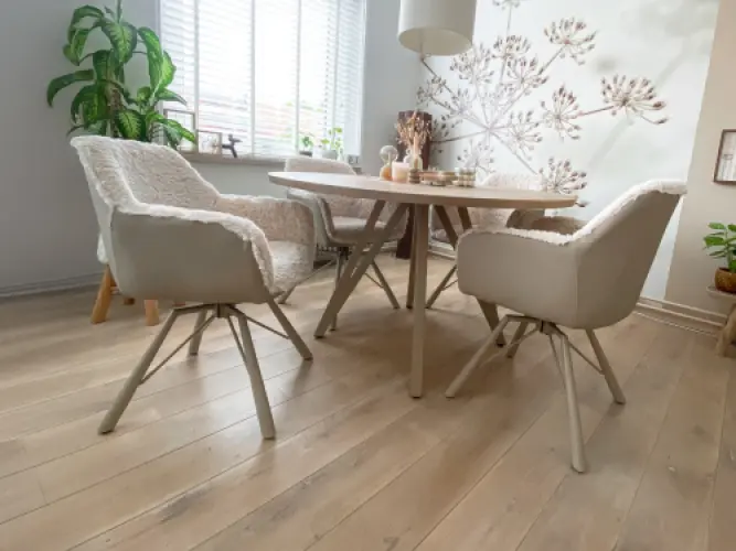 Nord Eetkamerstoelen